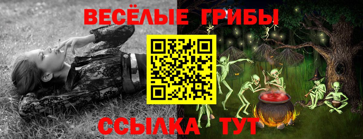 Полевской  Псилоцибиновые грибы GOLDEN TEACHER  Вход с VPN 
